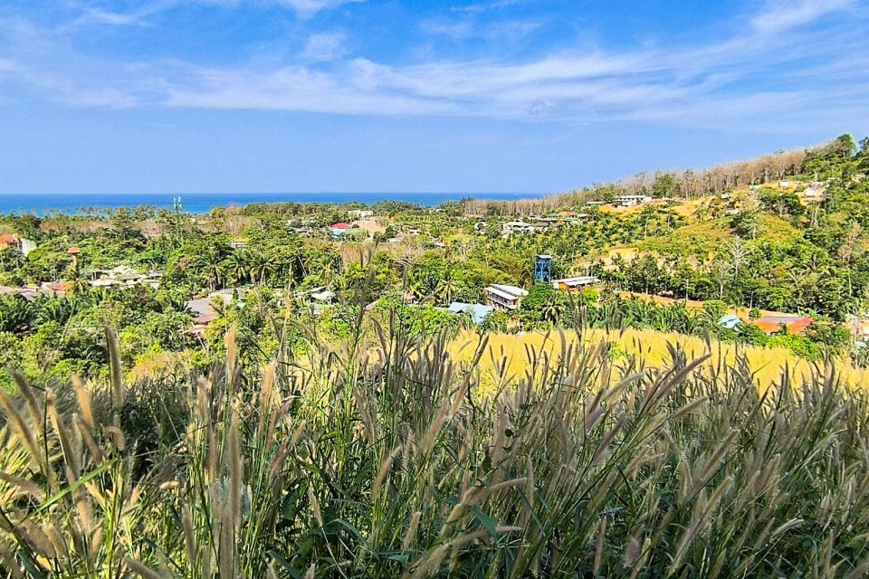 Seaview Land for Sale in Koh Lanta