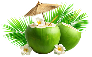 Island Tour it coconut