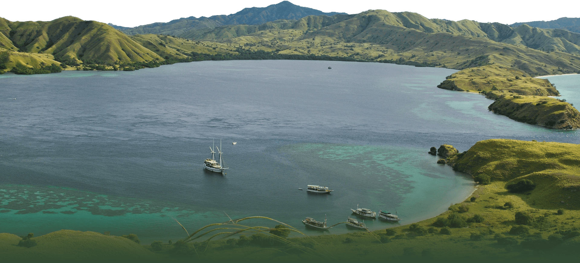Island Tour island tour bg