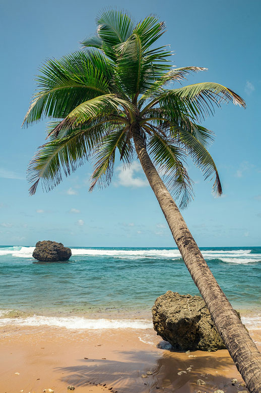 island-tour-destination-2 island-tour-destination-2 island-tour-destination-2 Island Tour island tour destination 2